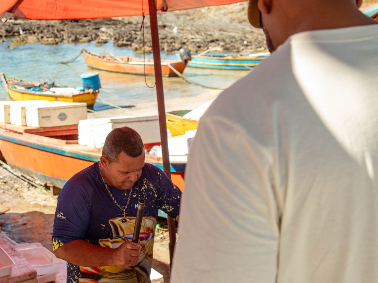 Pesca artesanal peixe fresco e cuidado na escolha.